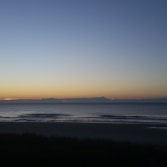 Meet your Posher, Olivia - Picture 2 of 7